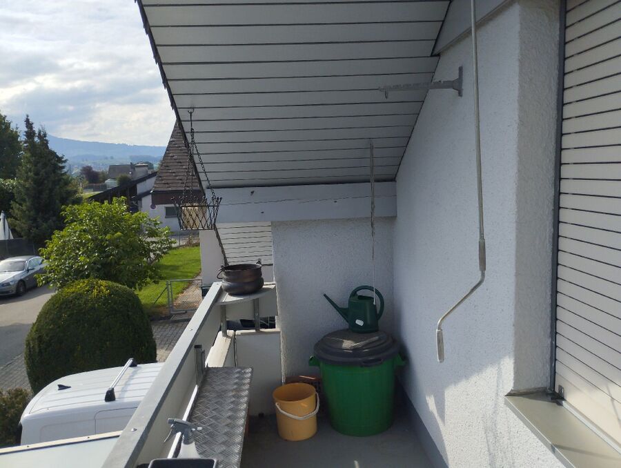 Bienen umsiedeln &  Bienennest entfernen 