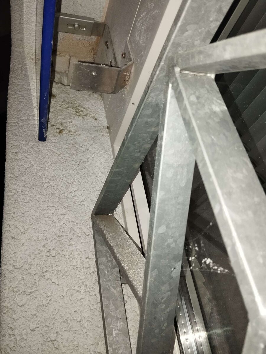 Bienen umsiedeln &  Bienennest entfernen 