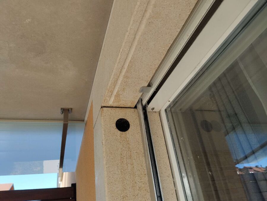 Bienen umsiedeln &  Bienennest entfernen 