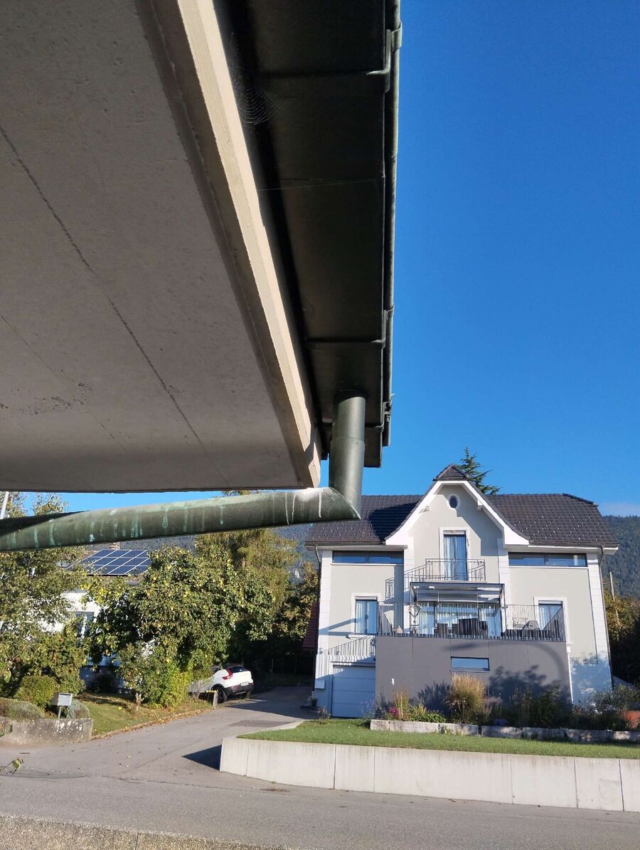  Bienennest entfernen.jpeg