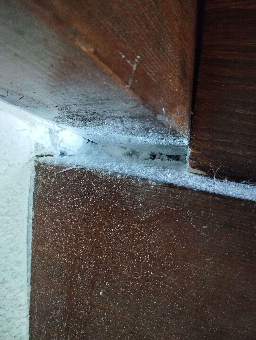  Bienennest entfernen.jpeg