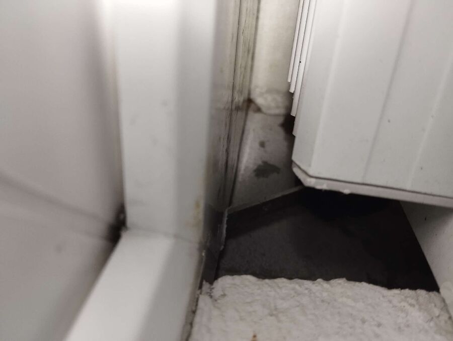  Bienennest entfernen.jpeg