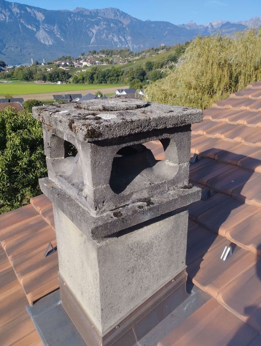  Bienennest entfernen