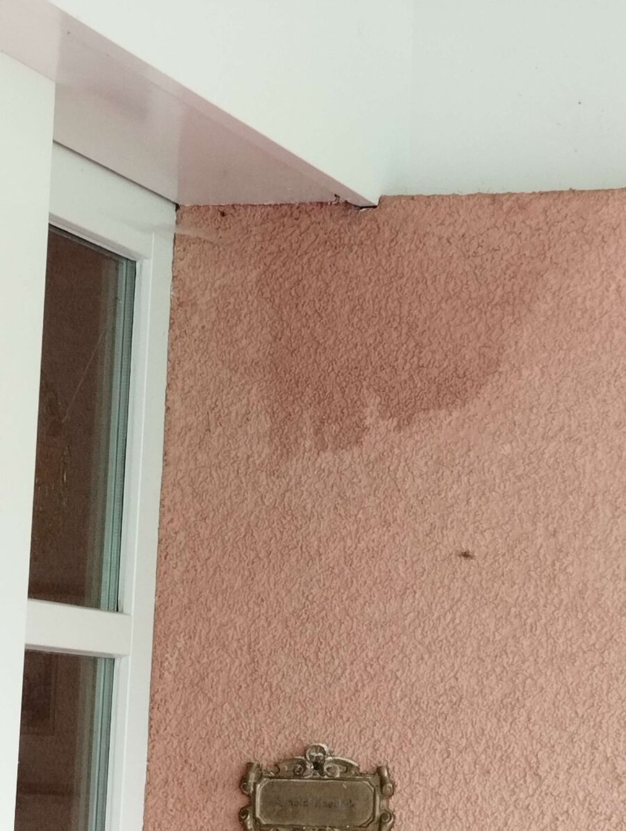 Bienen umsiedeln &  Bienennest entfernen 