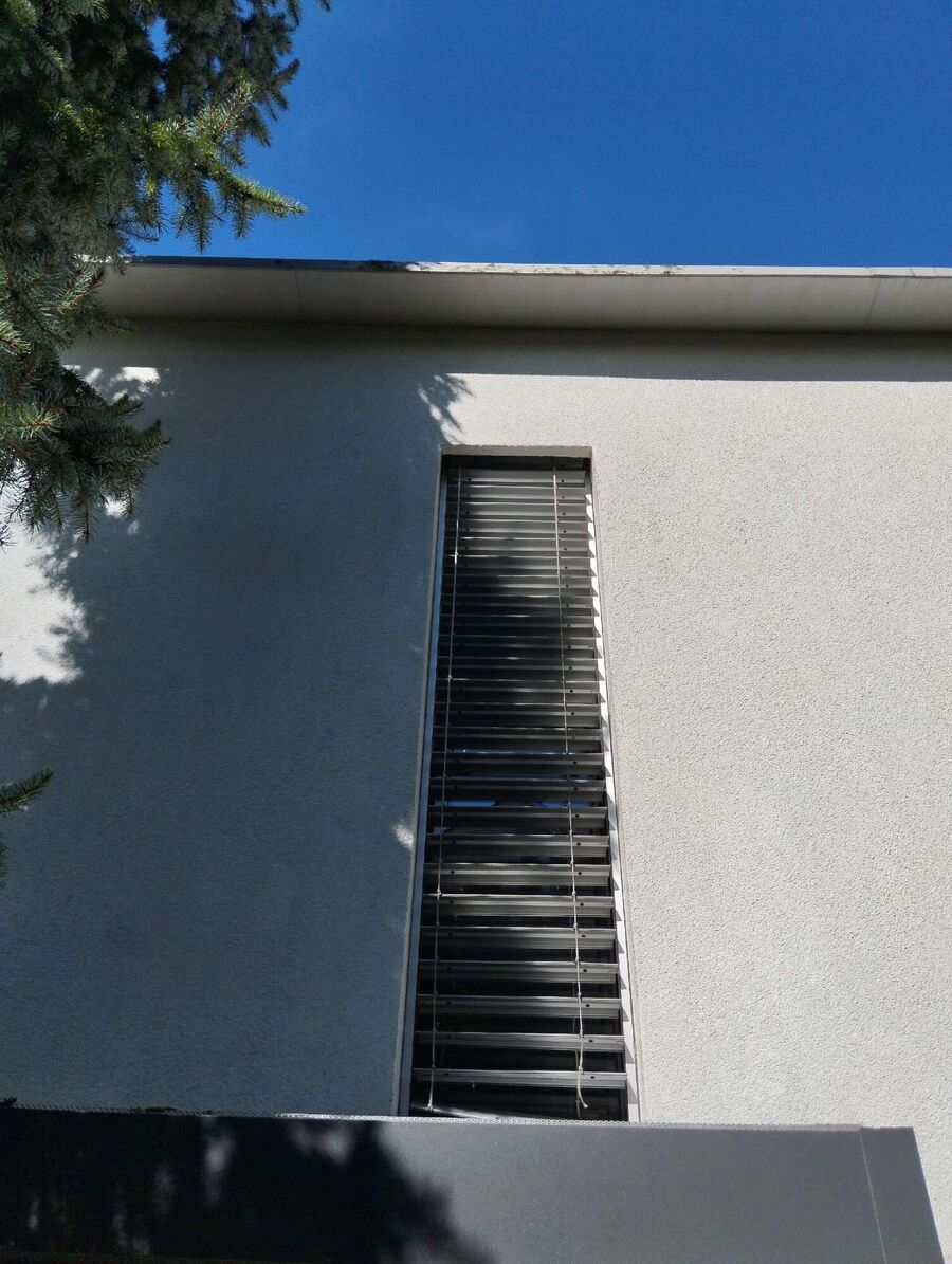  Bienennest entfernen