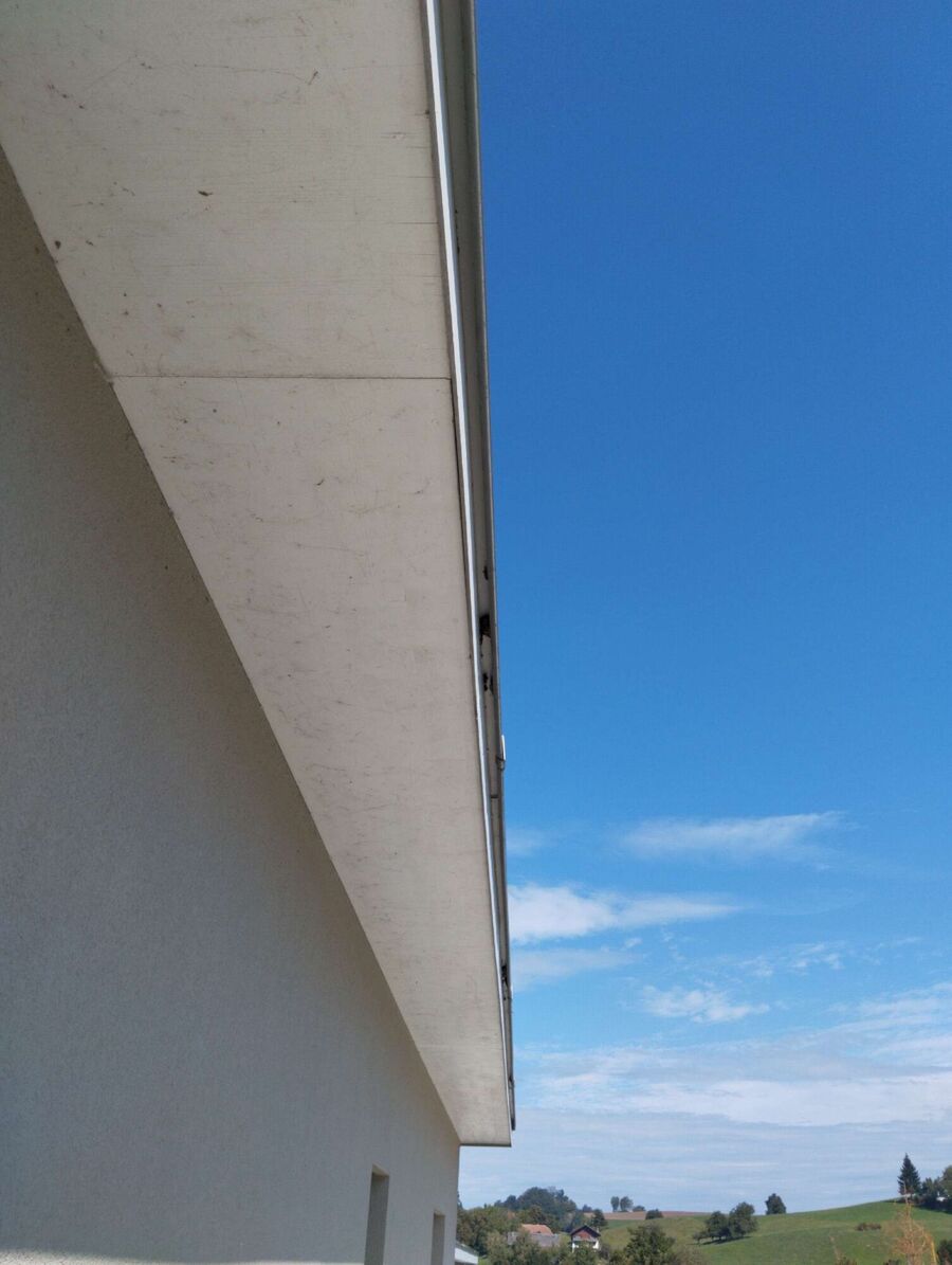  Bienennest entfernen.jpeg