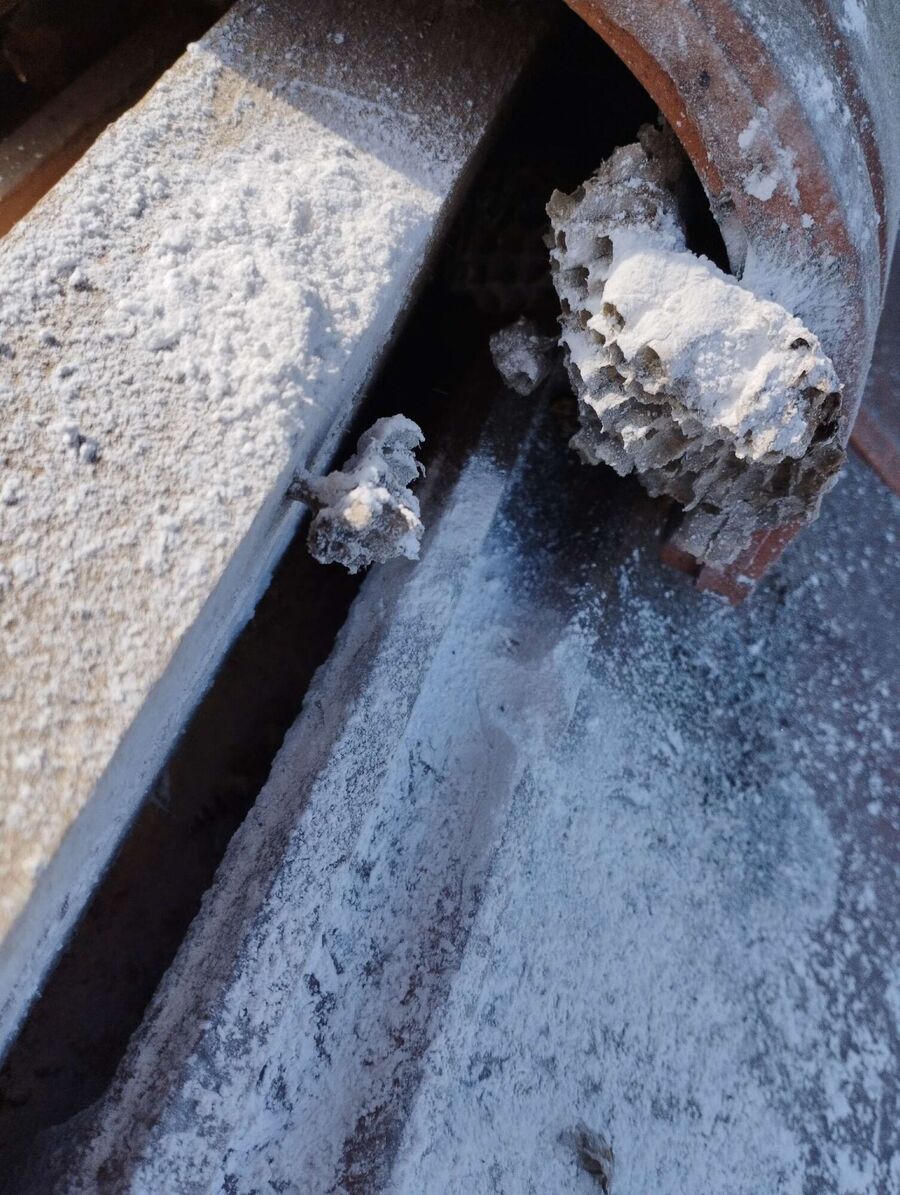 Bienen umsiedeln &  Bienennest entfernen 