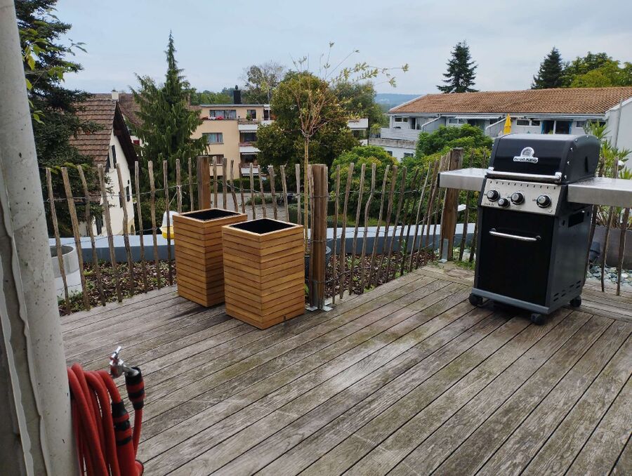  Bienennest entfernen