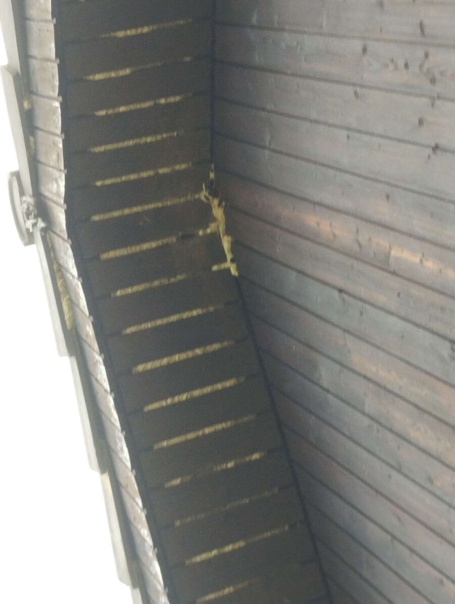  Bienennest entfernen.jpeg