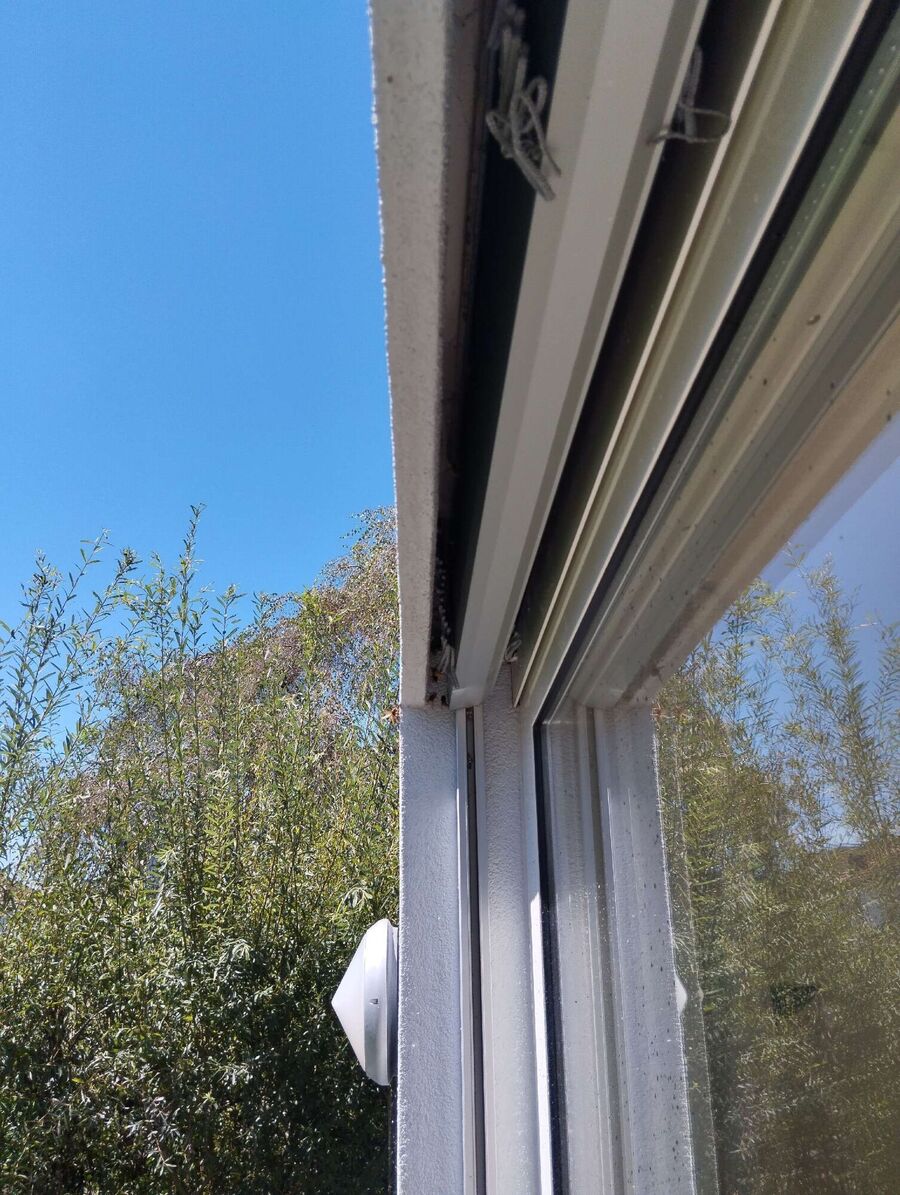  Bienennest entfernen