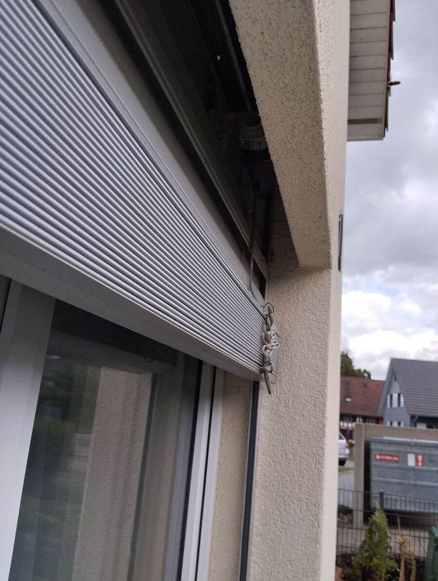  Bienennest entfernen