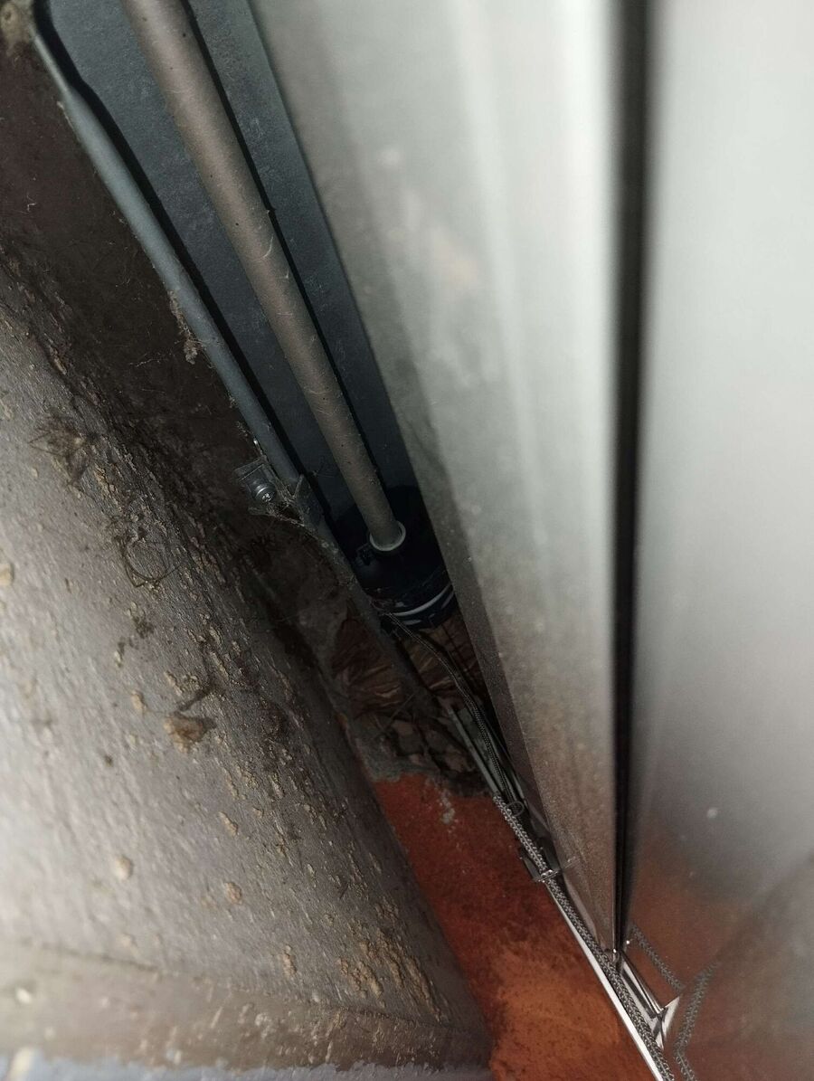 Bienen umsiedeln &  Bienennest entfernen 