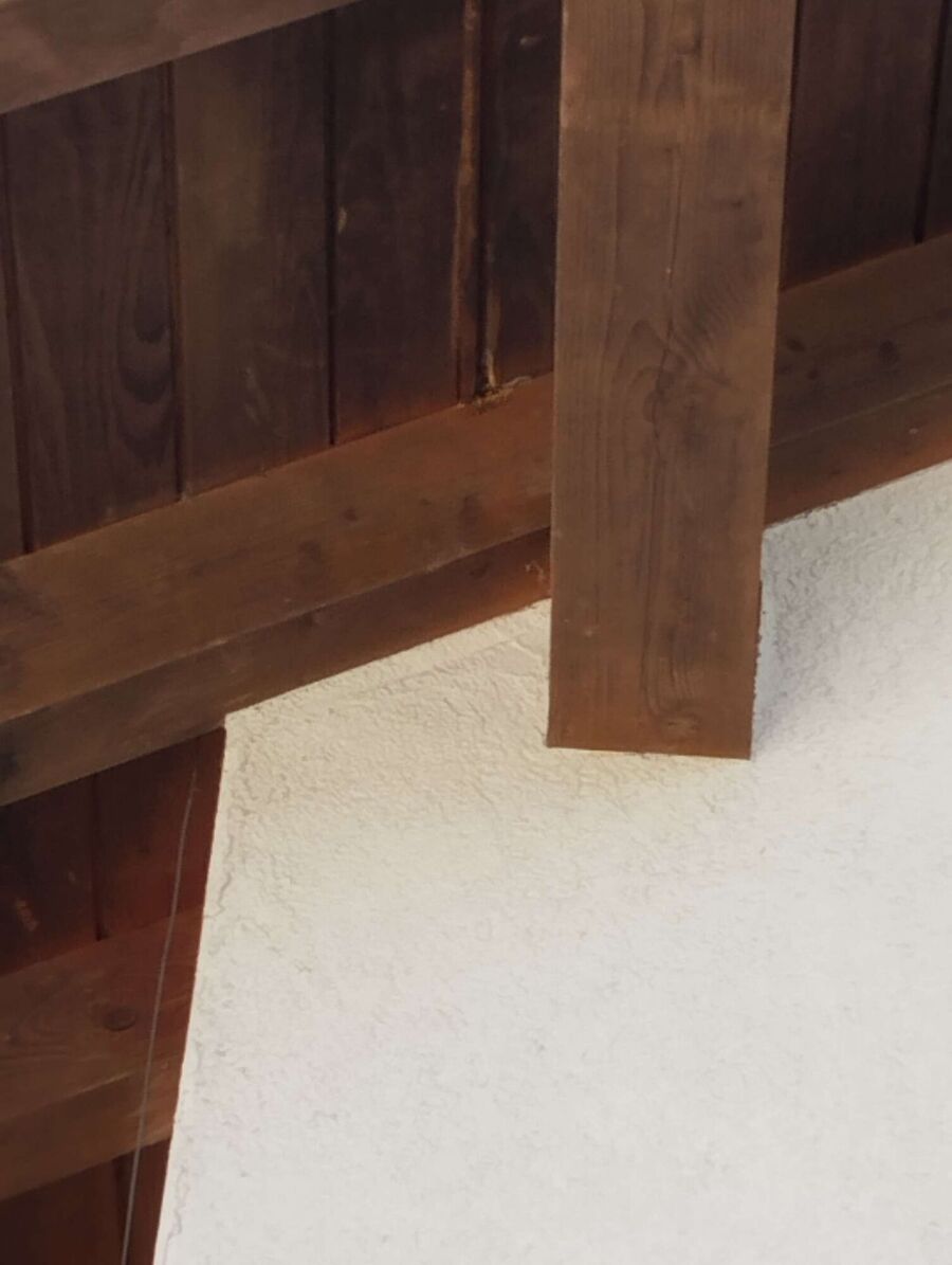 Bienen umsiedeln &  Bienennest entfernen 