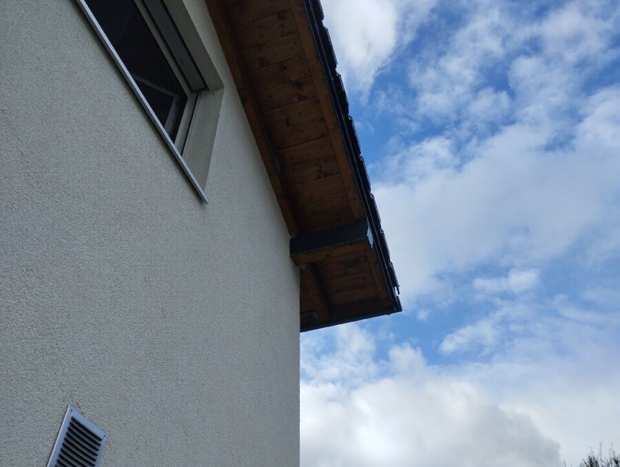  Bienennest entfernen