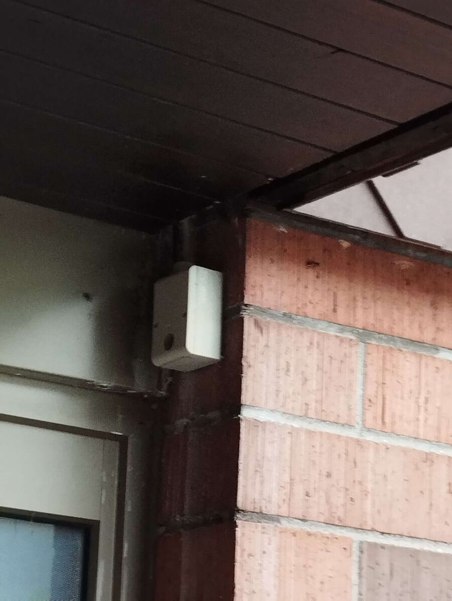  Bienennest entfernen