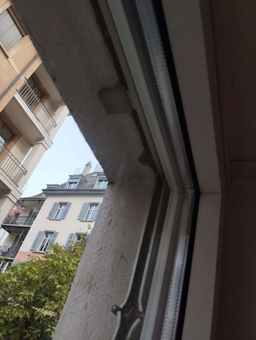 Bienen umsiedeln &  Bienennest entfernen 