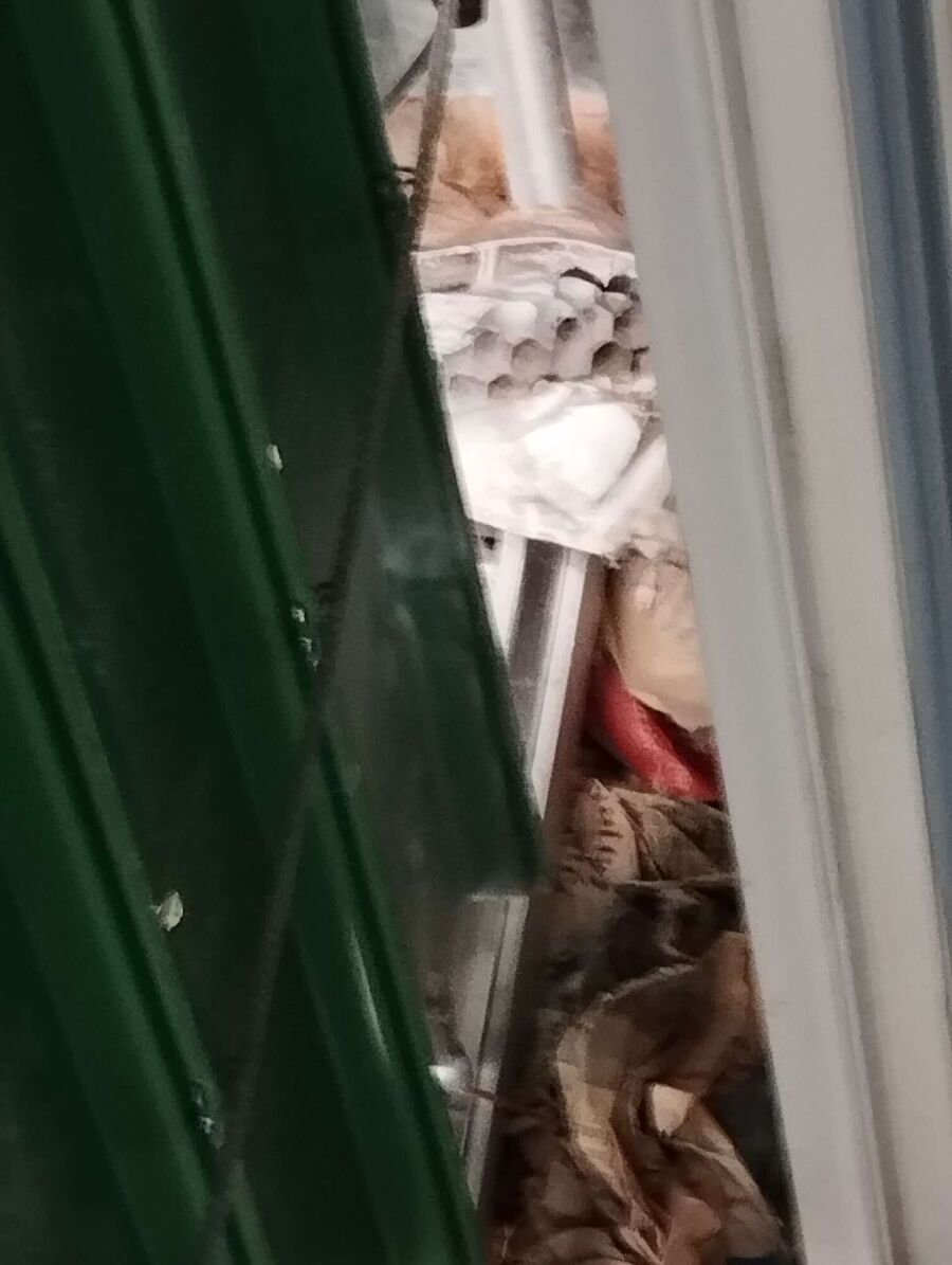  Bienennest entfernen.jpeg