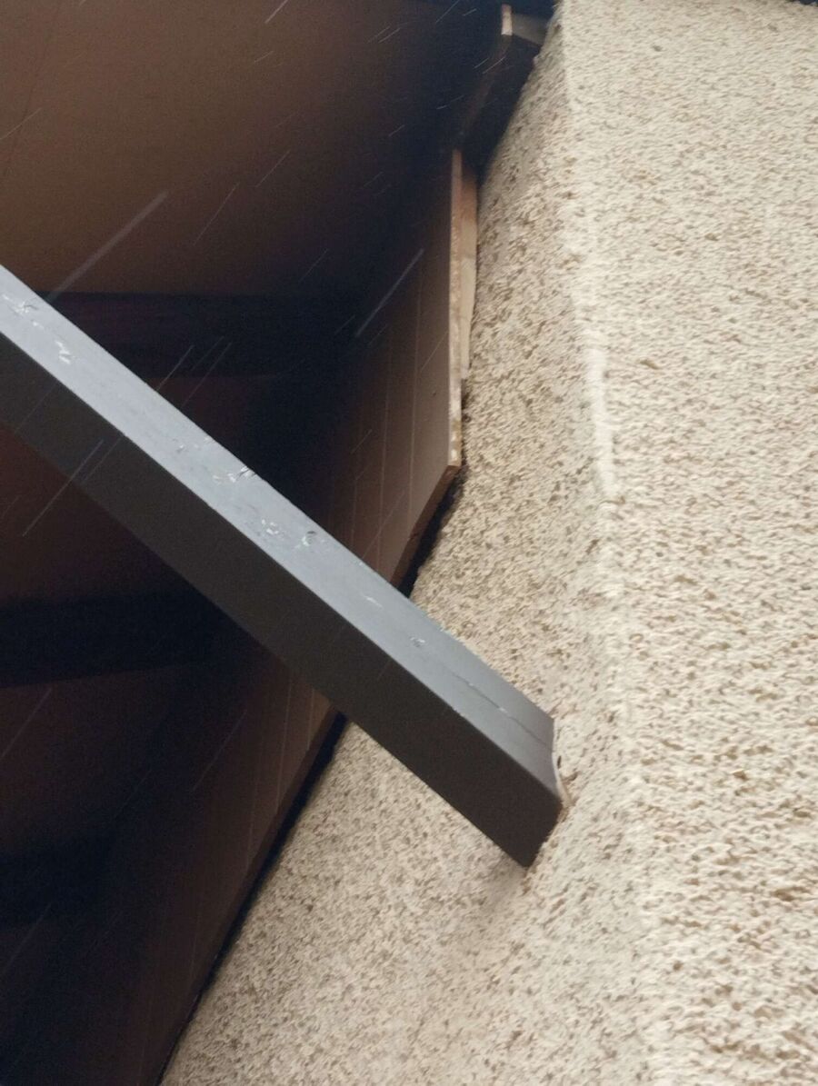  Bienennest entfernen