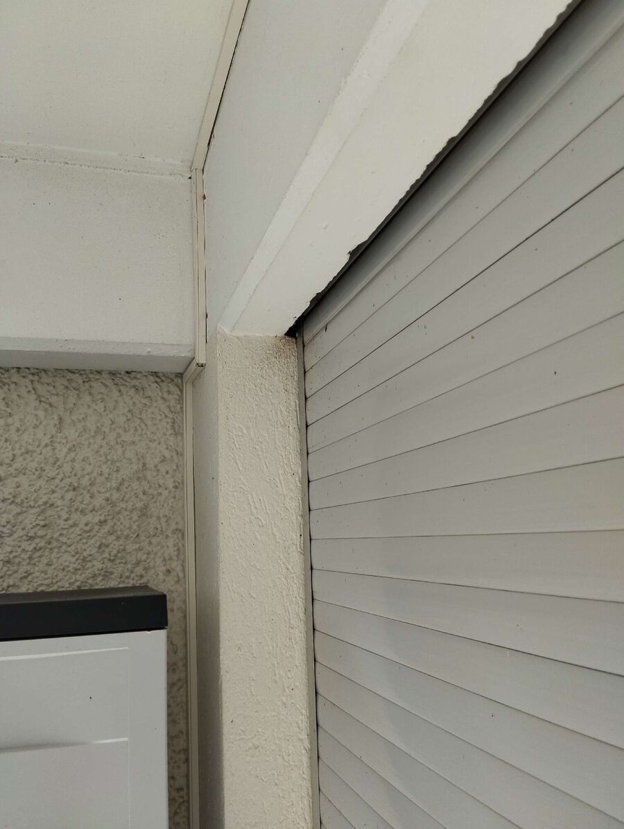  Bienennest entfernen.jpeg