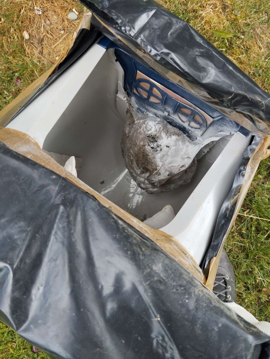  Bienennest entfernen.jpeg