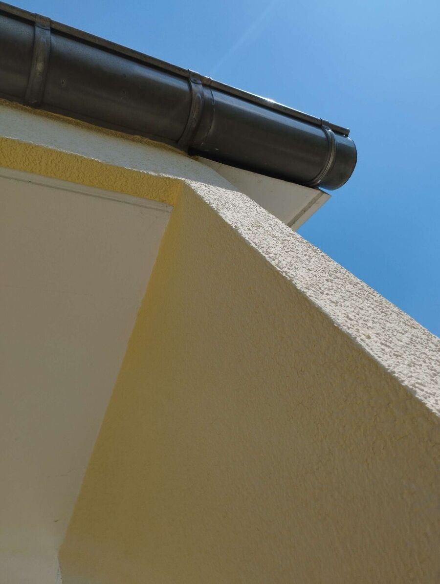 Bienen umsiedeln &  Bienennest entfernen 