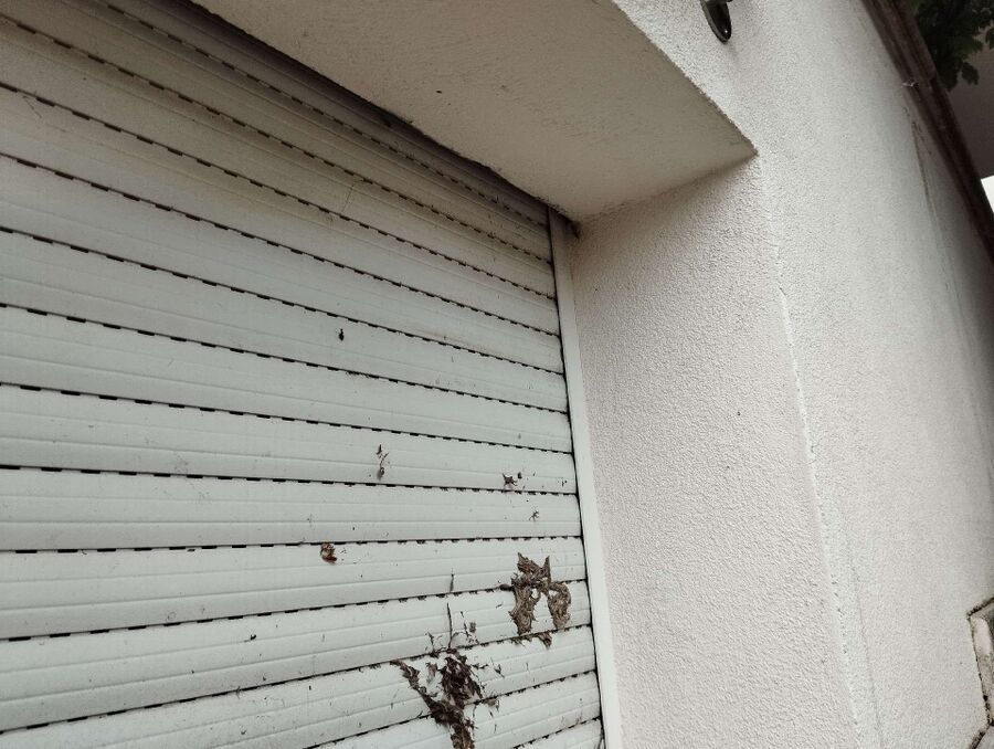  Bienennest entfernen.jpeg