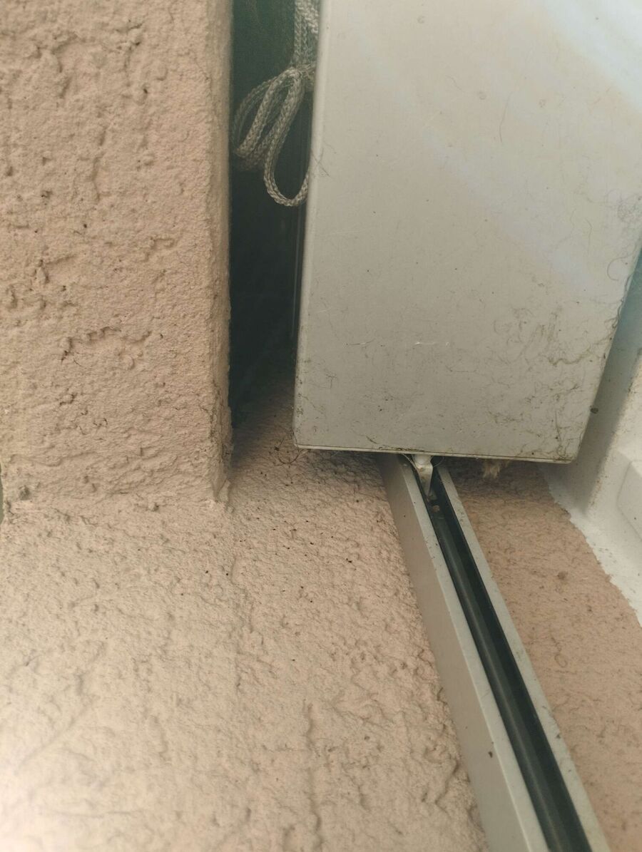 Bienen umsiedeln &  Bienennest entfernen 