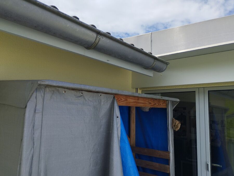  Bienennest entfernen