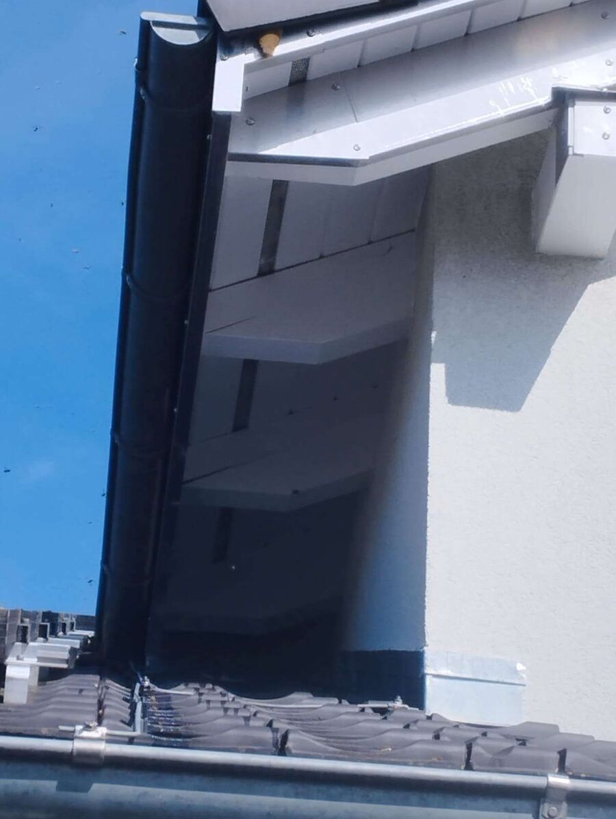  Bienennest entfernen