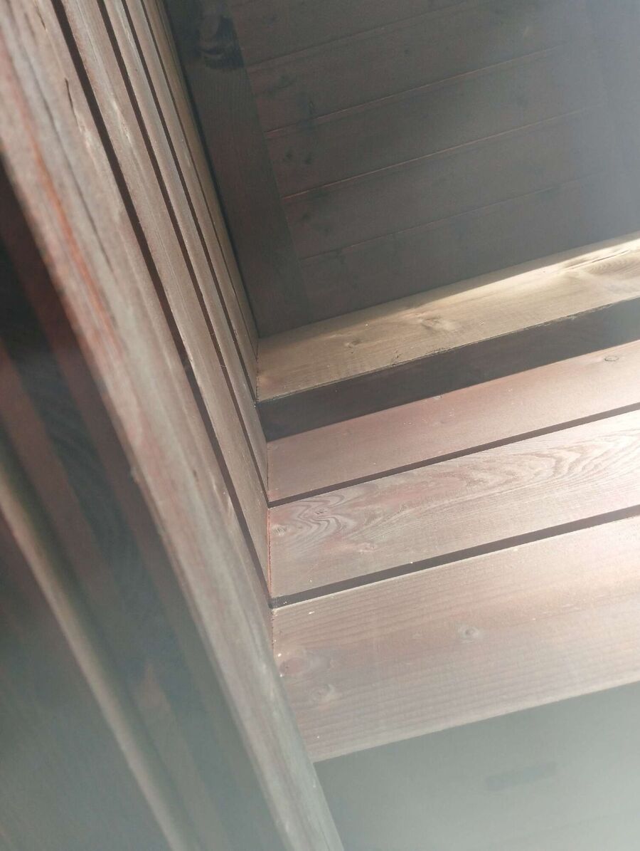 Bienen umsiedeln &  Bienennest entfernen 