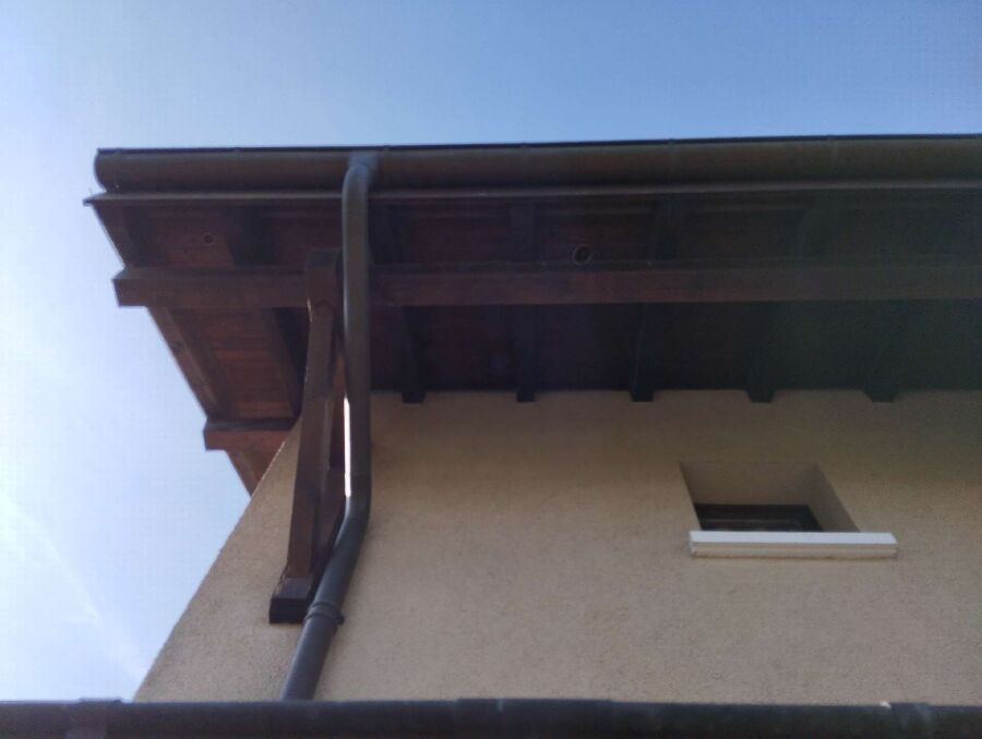 Bienen umsiedeln &  Bienennest entfernen 