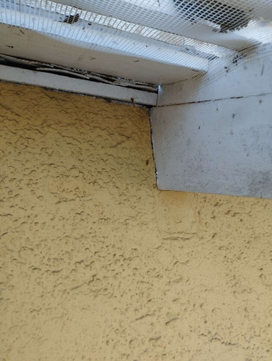  Bienennest entfernen.jpeg