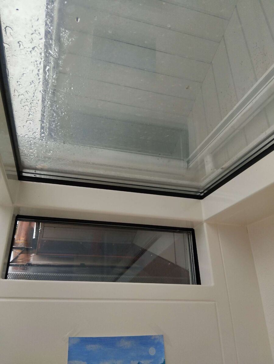  Bienennest entfernen