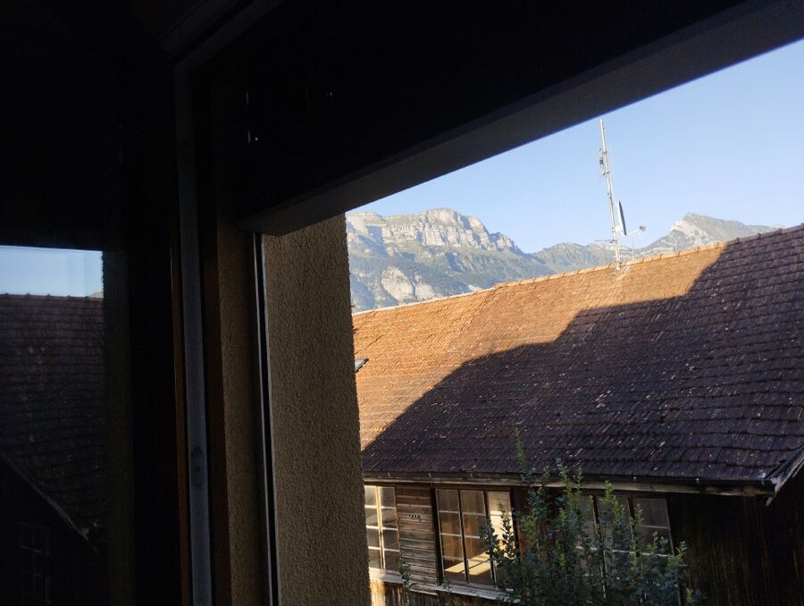  Bienennest entfernen