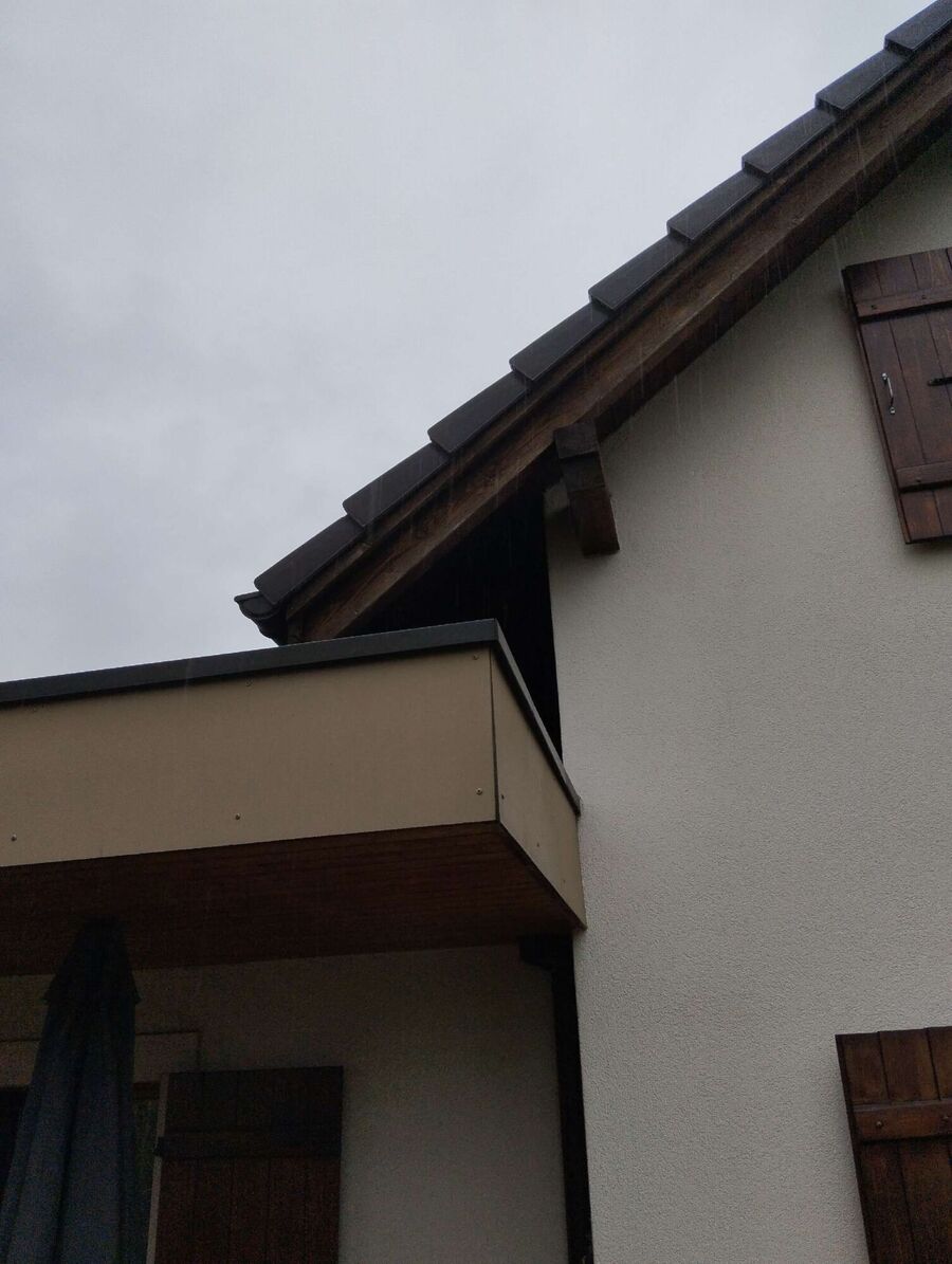  Bienennest entfernen