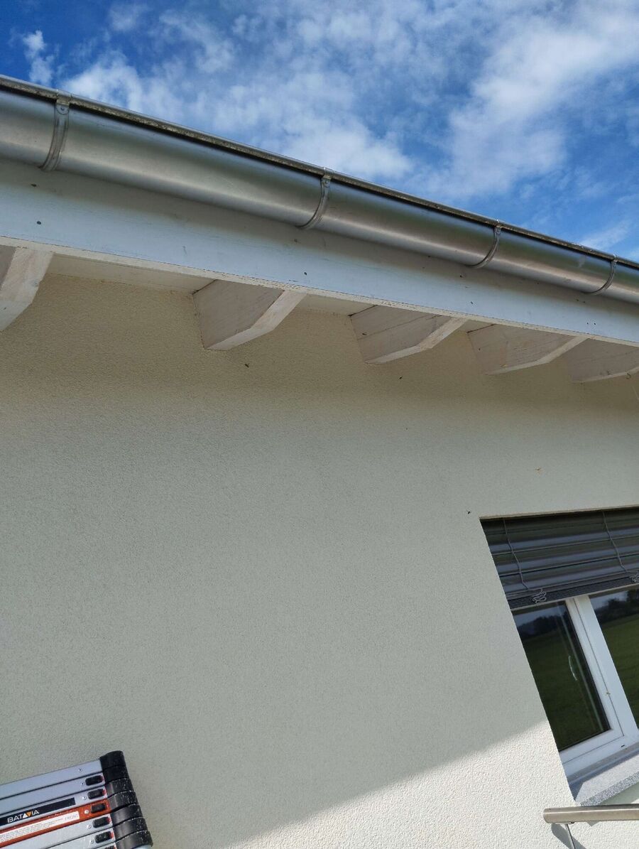  Bienennest entfernen.jpeg