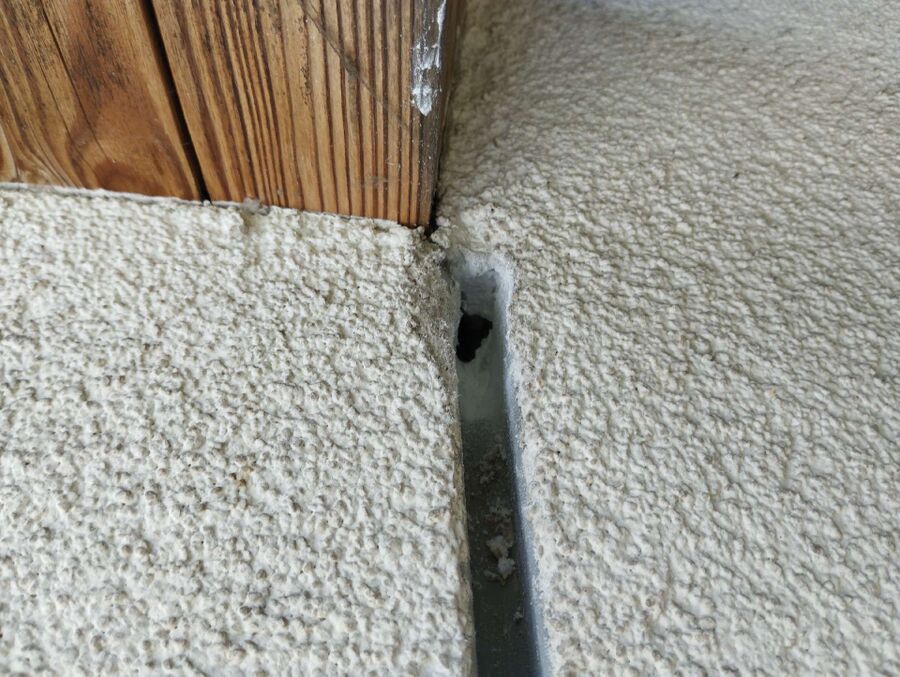 Bienen umsiedeln &  Bienennest entfernen 