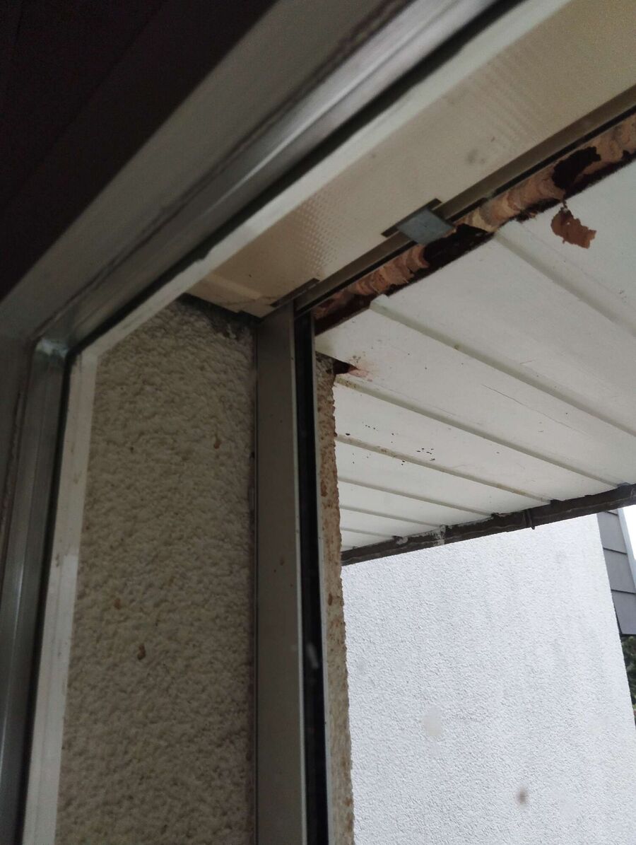  Bienennest entfernen