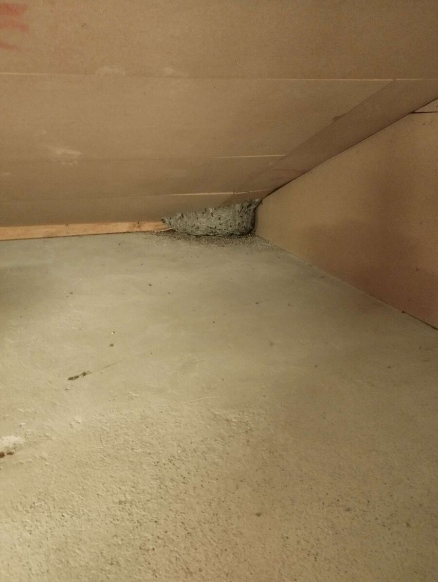  Bienennest entfernen