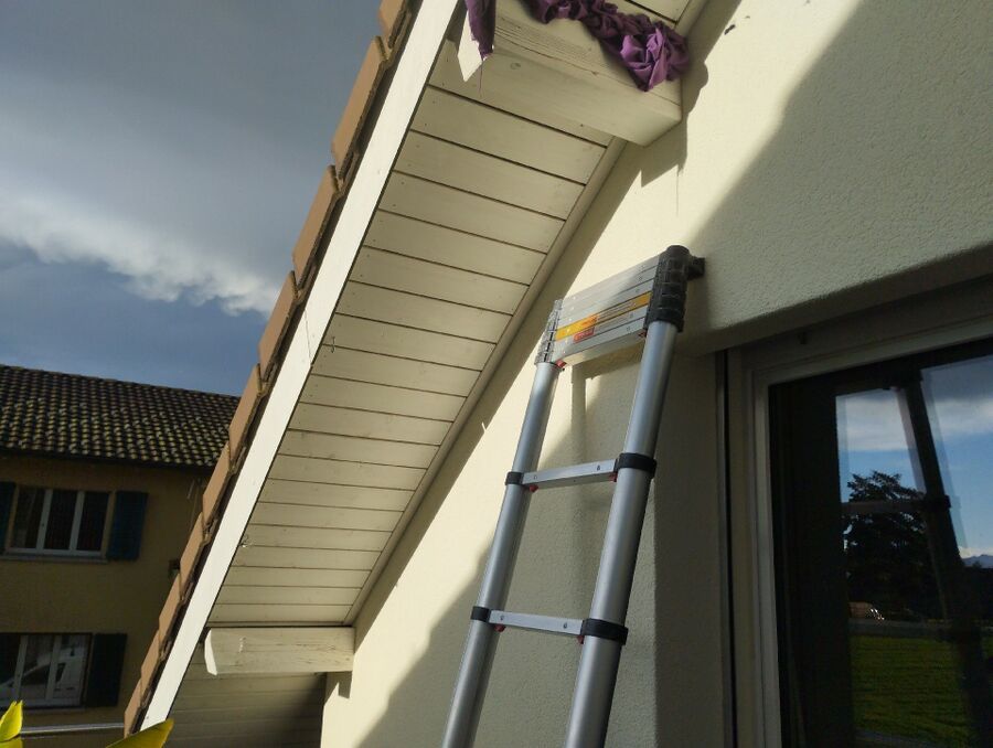  Bienennest entfernen