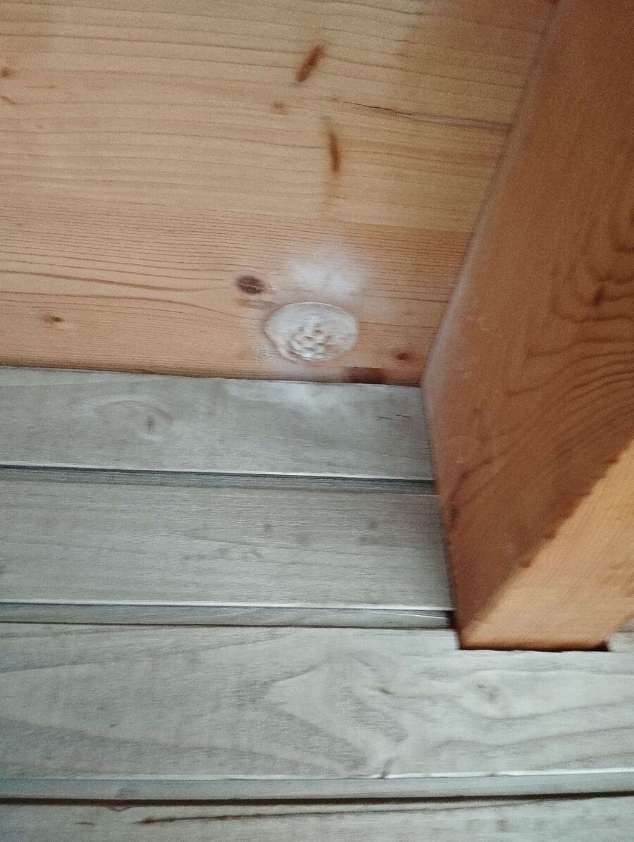  Bienennest entfernen.jpeg