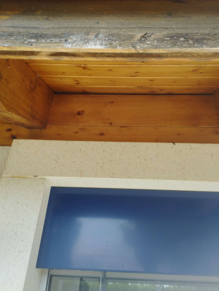  Bienennest entfernen