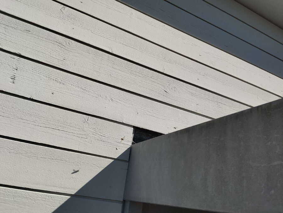  Bienennest entfernen