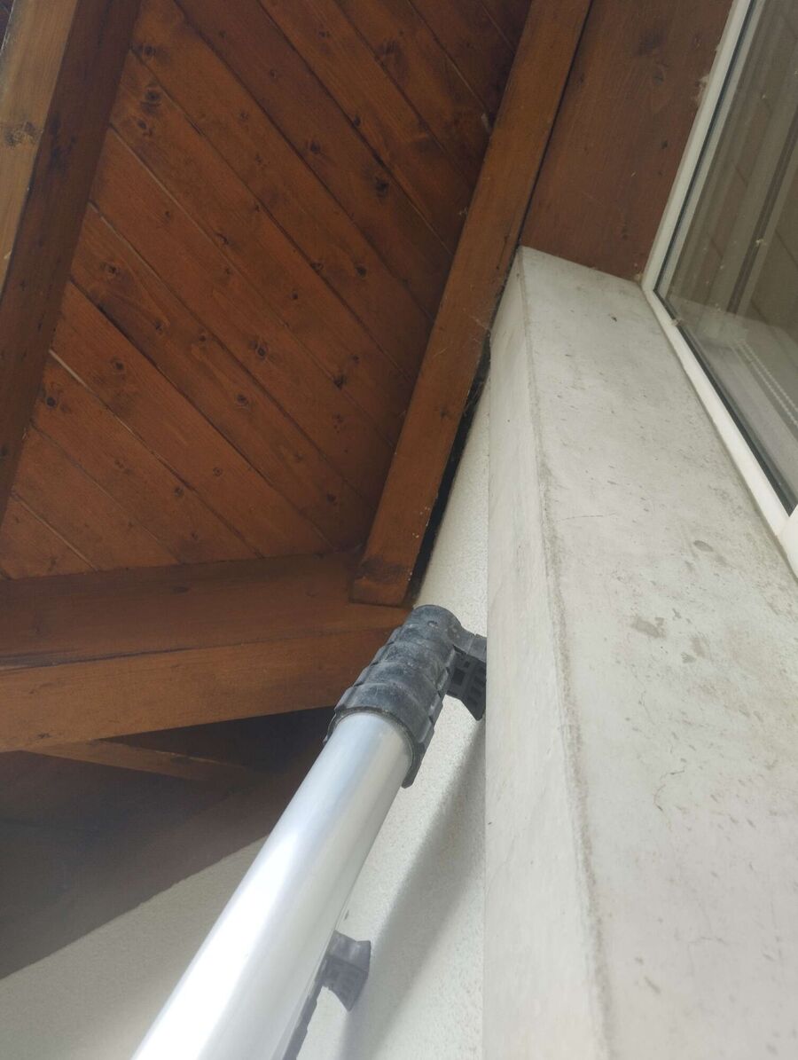  Bienennest entfernen.jpeg