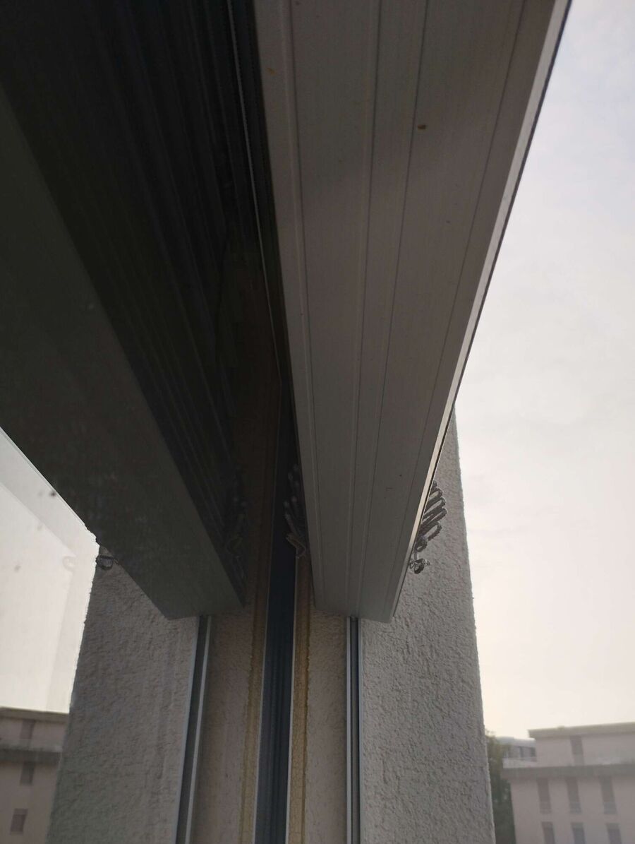  Bienennest entfernen.jpeg