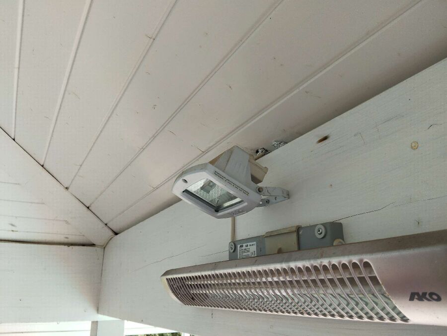 Bienen umsiedeln &  Bienennest entfernen 