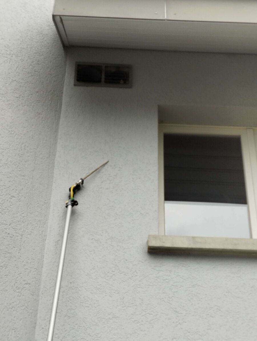  Bienennest entfernen.jpeg