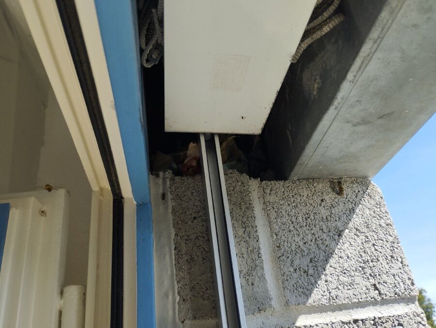 Bienen umsiedeln &  Bienennest entfernen 