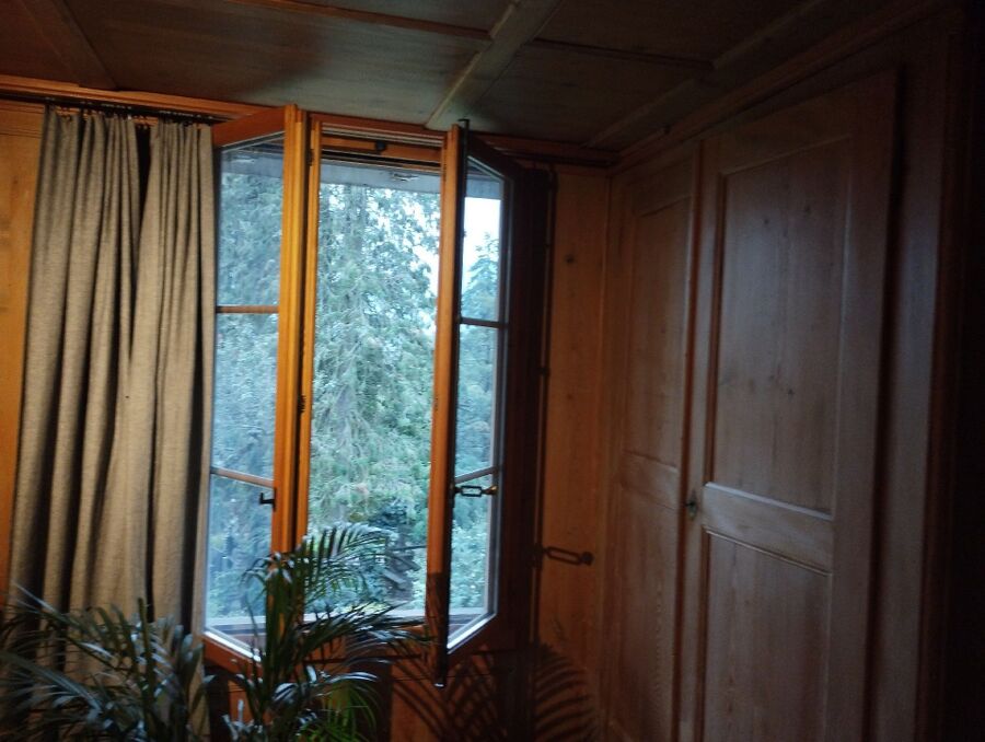 Bienen umsiedeln &  Bienennest entfernen 