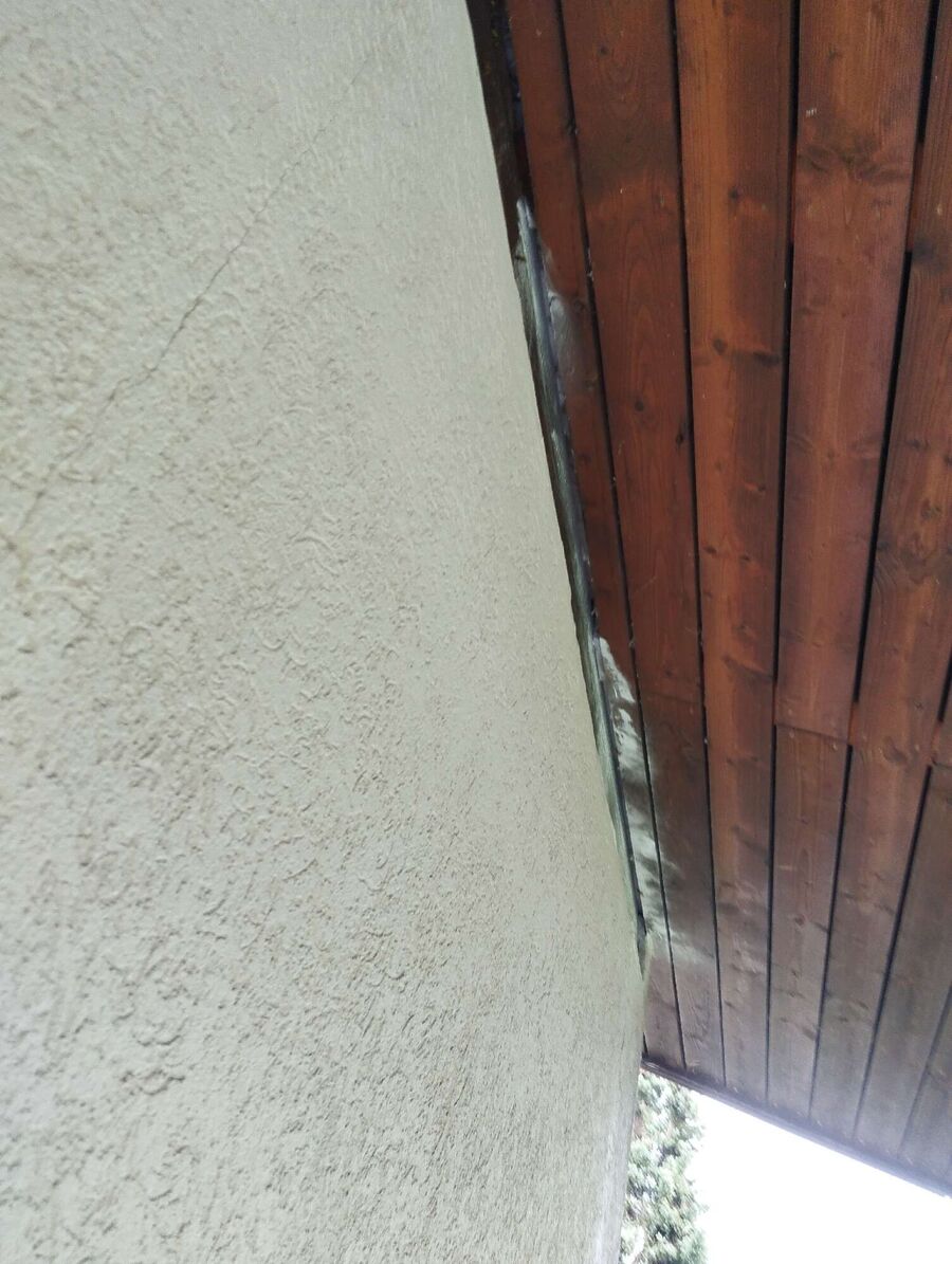  Bienennest entfernen.jpeg